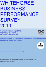 Business Performance Survey Full Report