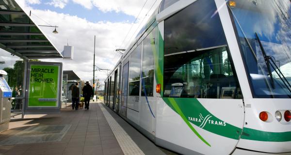 Box Hill Tram