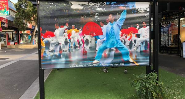 Cultural Diversity Photography Banners in Box Hill Mall